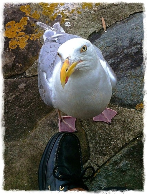 Drinkswithgaylordbokeh1horzflip