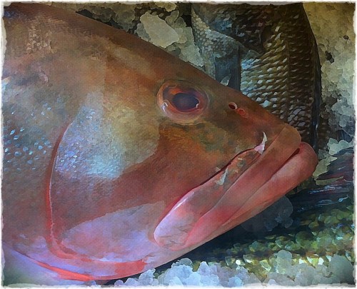 Fishbokeh1vertflip_2