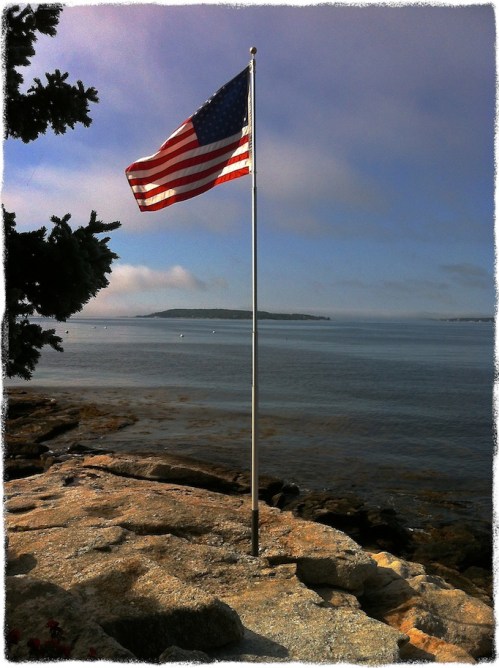 Frontyardatlowtidegrit