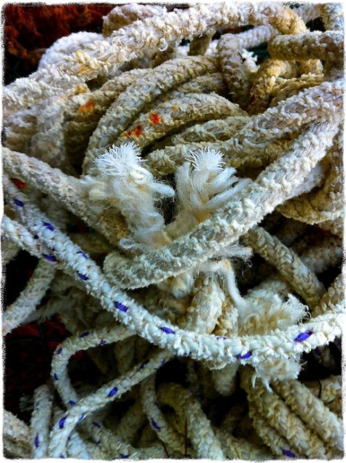 Lobsterpotropegrit_2