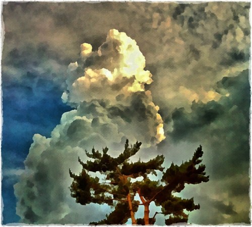 Newpineandcloudsbokeh1fullflip