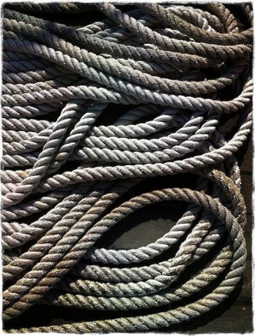 Ropesbokeh1grit_2