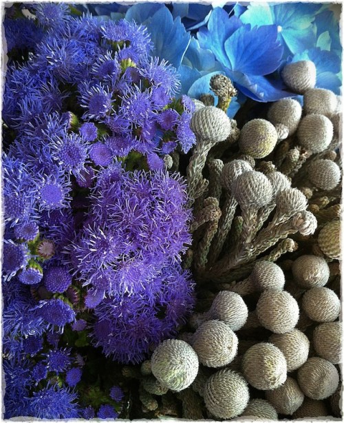 Floralarrangementcomponents3bo