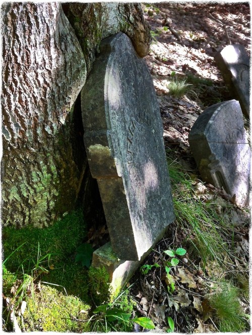 Img_2967bbokeh1midtonegrit_2