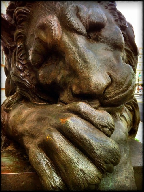 Lionhdrbokeh3dirtyfade1_2