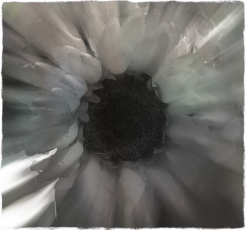 Sunflowers5_2protonmodbokeh1midtonegrit