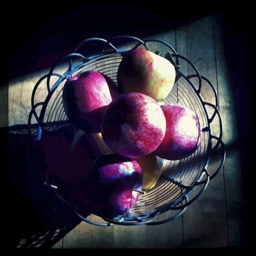 Morningapplesbokeh1fullflipmid