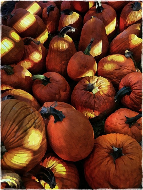 Pumpkinssuperhdroverpaintedbok