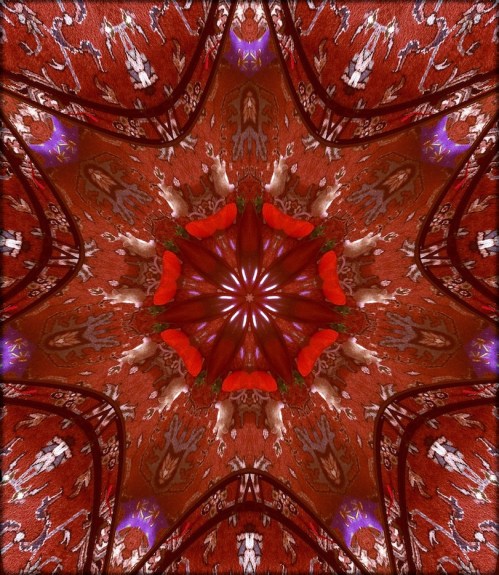 Catfantasykitcamtest2japanesep