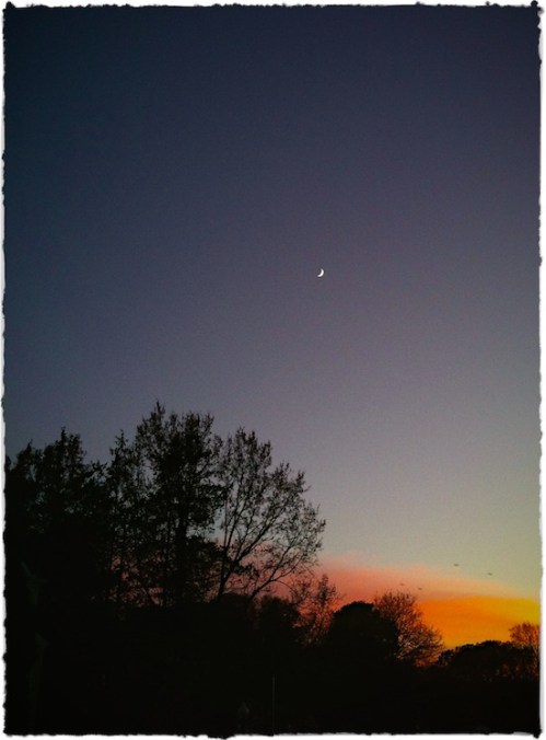 Moonandsunsetlomobrushup_2