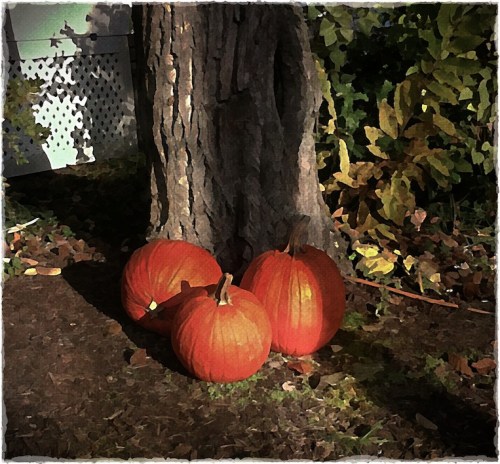 Pumpkinsandtreebokeh2fullflip_