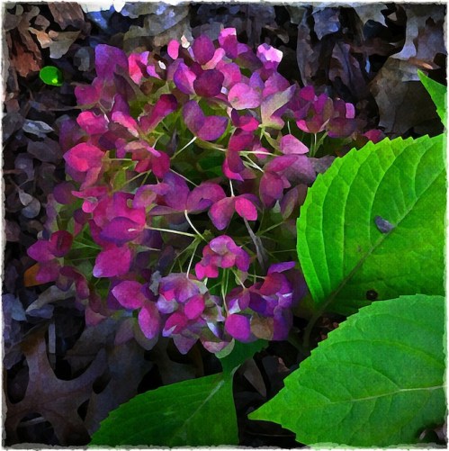 Seasonsend1oldpaperbokeh1verfl