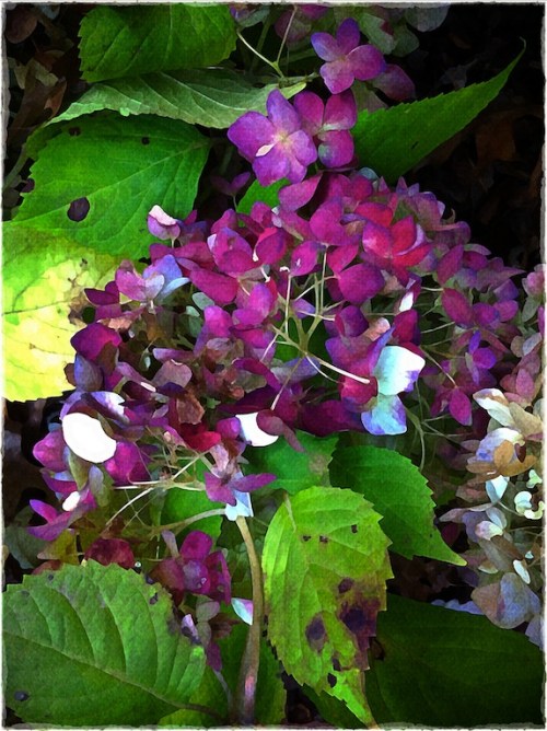 Seasonsend2bokeh1horzflipoldpa