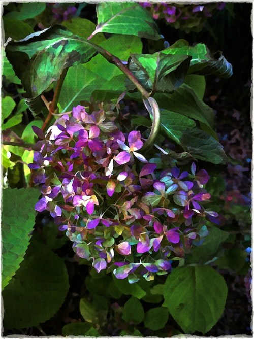 Seasonsend3bokeh1fullflipmidto