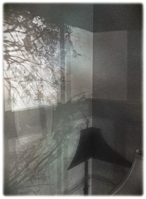 Shadowworldbokeh1vertflip_2