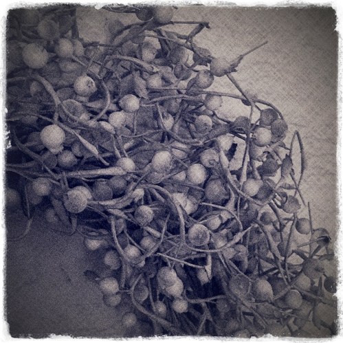 Silvergelatinwreath2_2