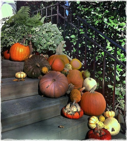 Tumbledtday2bokeh1satconbrite_2