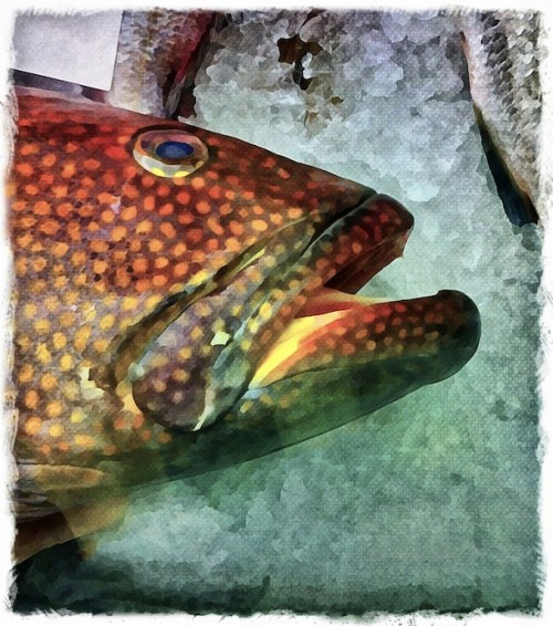 Easternmarketfishmongersatbrit