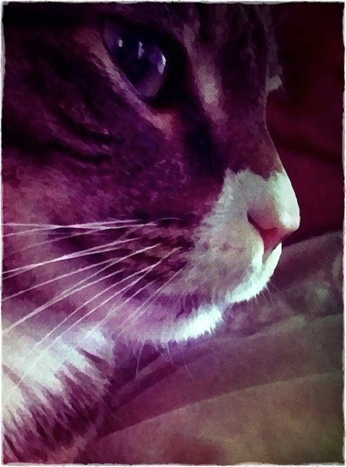 Hishighnessfinalfinal_2