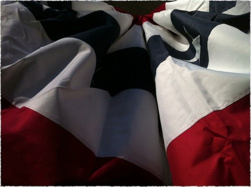 Dramabunting1frayed_2