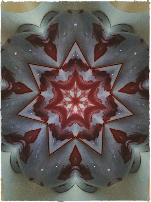 Gingerjarmorphed1bokeh3vertfli