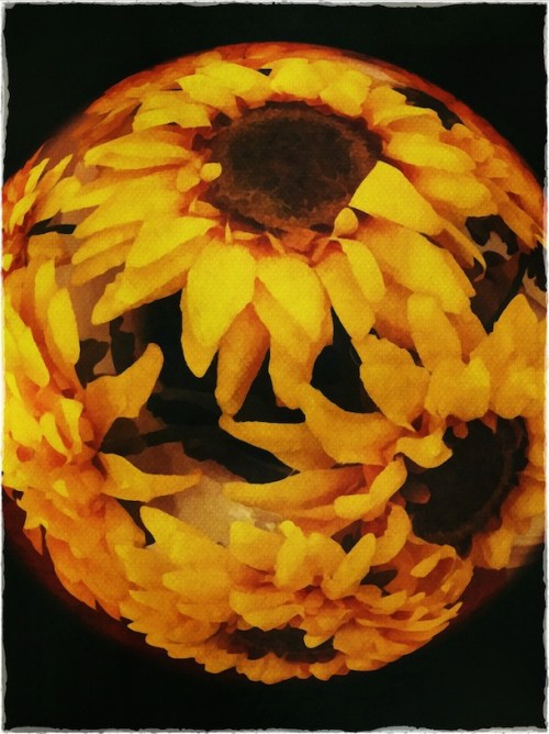 Planetsunflowerbokeh1_2