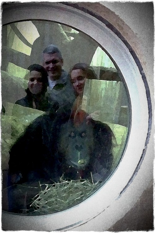 Prisoner2oldviewmidtonegrit