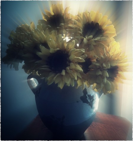 GlamourSunflowers1_2ProtonModSatGlowFrayed 2