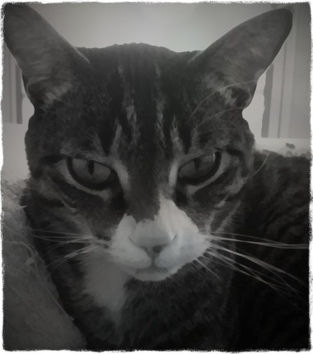 JackOverpaintBokeh1vertflipMidtoneGrit 2