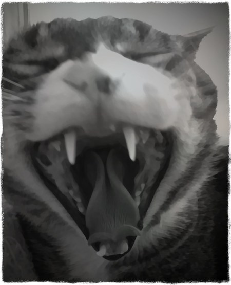 JackYawnOverpaintBokeh1fullflipGrit