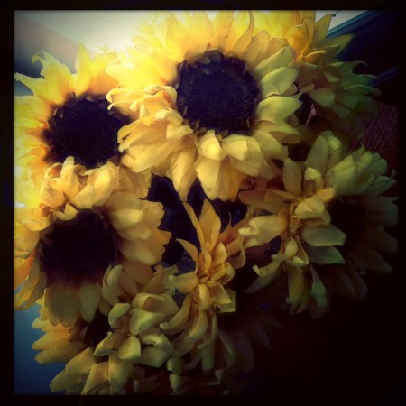 RepixSunflowers4_2