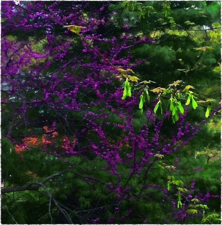 PainterlySpring1Frayed 2