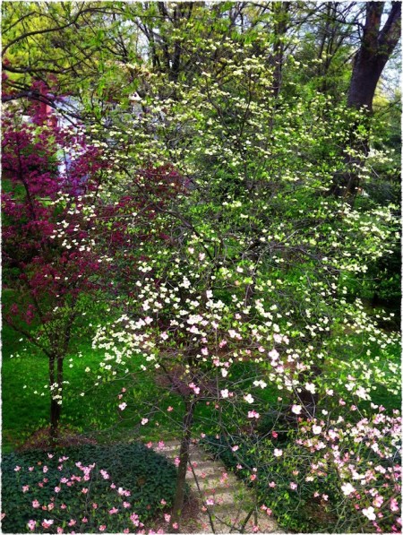 PainterlySpring2Frayed 2