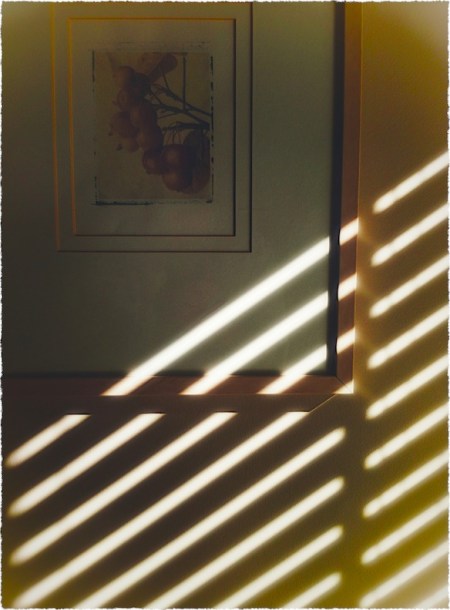 MetaNoirBlueskyModBokeh2fullflipMidtone2frayed 2