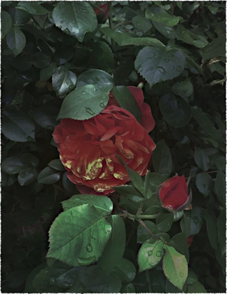 Orange3frayedfinal 2