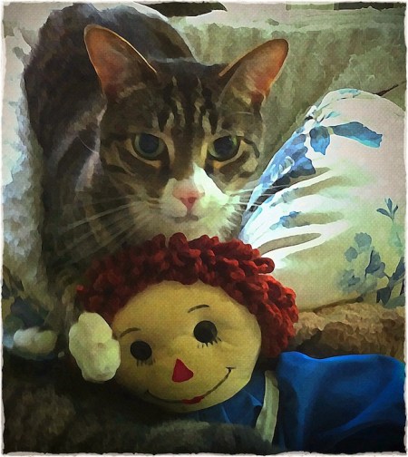 OrTheDollGetsItColorFilter 2