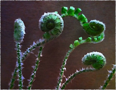 OverpaintedFernsBlueskyModBokeh1MidtoneGlowRainbowTextureGrainFrayed 3