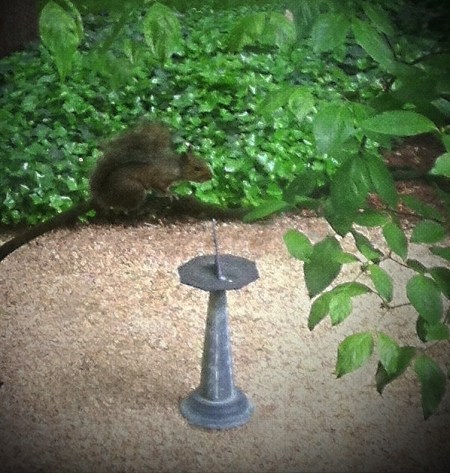 SquirrelAndSundialFinal