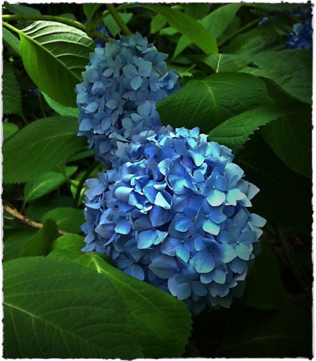 DramaLight2Brushup 2