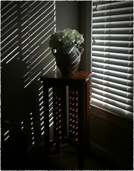 DramaticVaseBokeh1Frayed 2