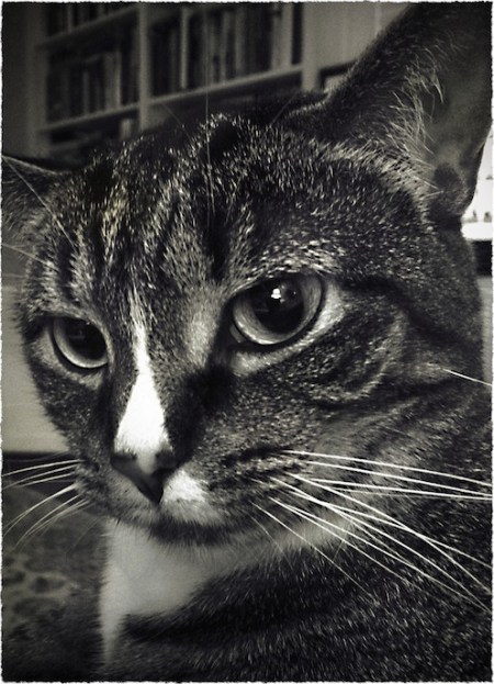 EllaBWbokeh2vertflipMidtoneFrayed 2