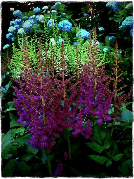 PreRaphaeliteGardenBokeh2verflipSatConMidtoneGrit 2