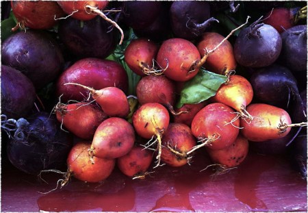 BeetsBokeh3vertflipMidtoneSatGrainColorFilterFrayed 2