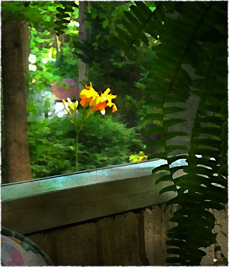 LilyFernChairBokeh3MidtoneSatSharpenFrayed 2