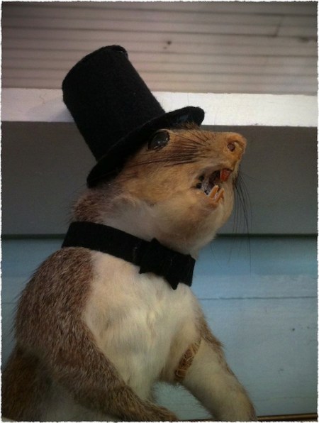 TopHatWeaselBokeh1horzflipMidtoneFrayed 2