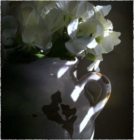 VaseNoirCloseup2Bokeh2horzflipGrainMidtoneFrayed 2