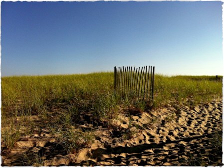 CapeCodDuneBokeh1SatConSharpenMidtoneGrainBrushedSquare 2