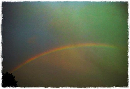 CapeCodRainbow 2