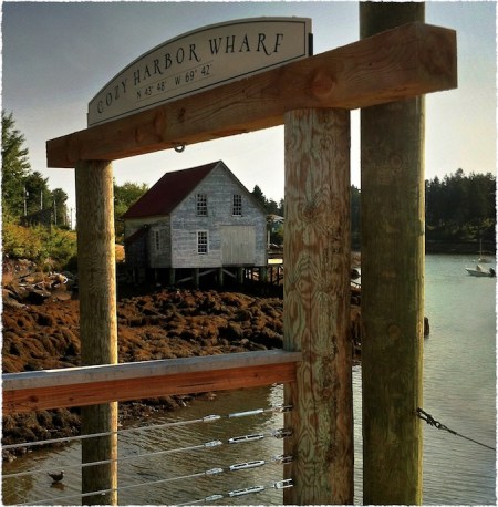 CozyCoveBokeh3MidtoneGrainFrayed 2