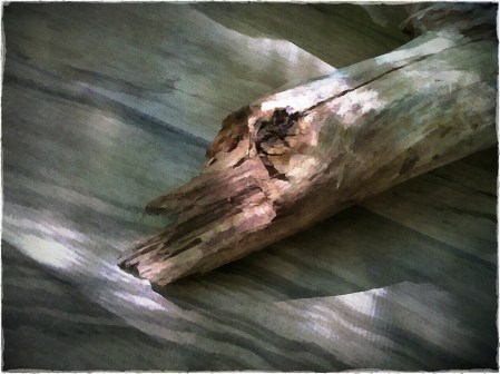 DriftwoodOnPorchFloorBokeh3horzflipMidtone 2